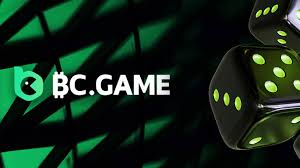 The Importance of the BC.Game SK Mirror for Gamers