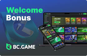 The Importance of the BC.Game SK Mirror for Gamers